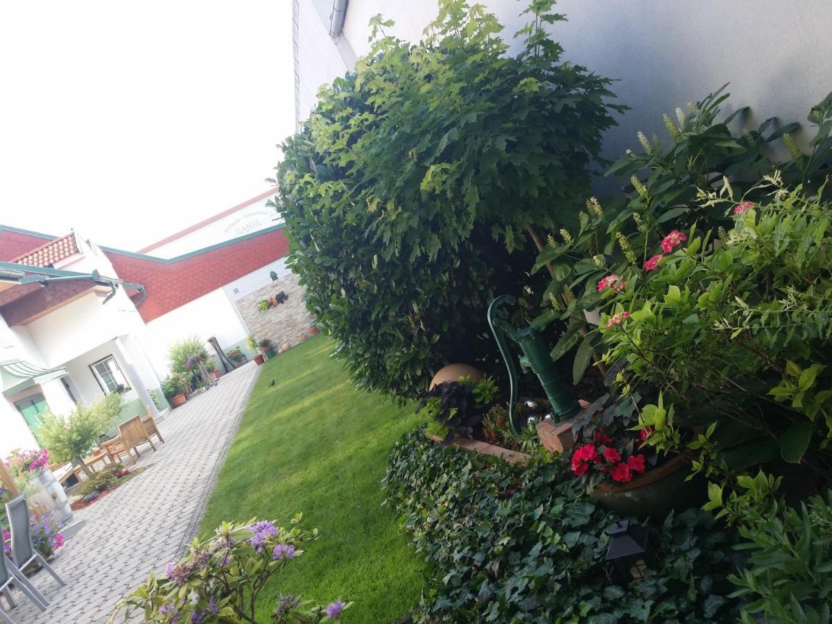 Weingut Apartment Hildegard Gangl Illmitz Exterior foto