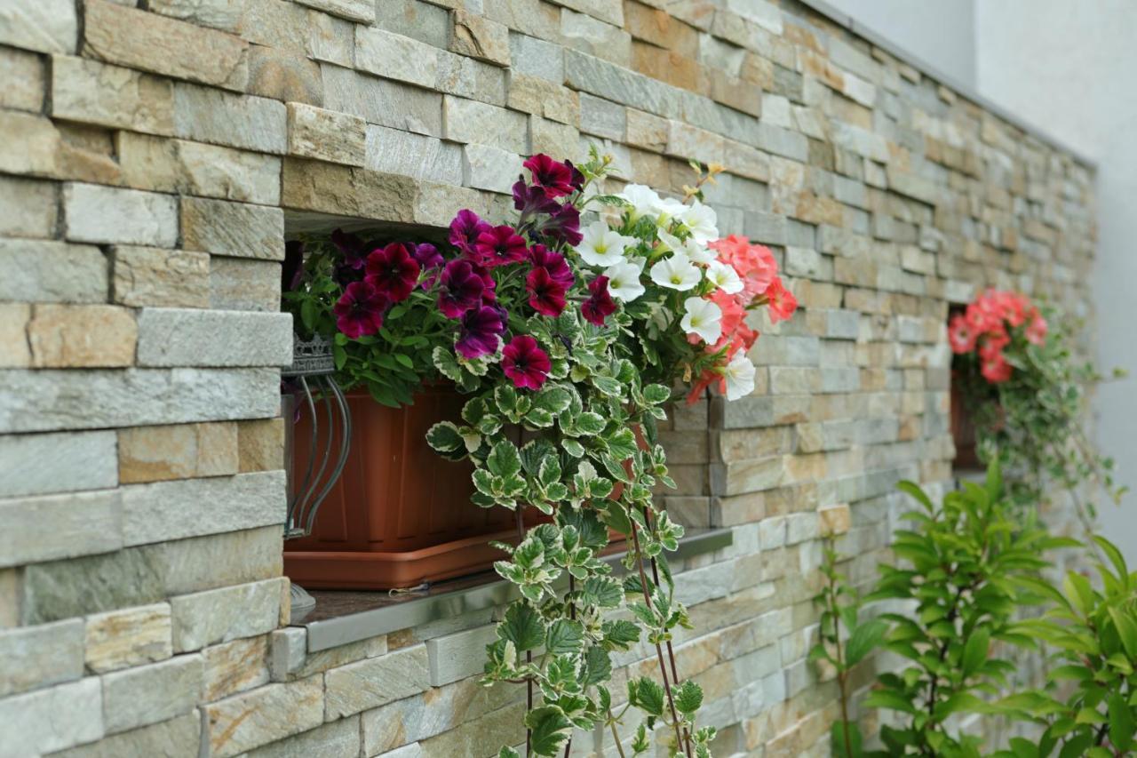 Weingut Apartment Hildegard Gangl Illmitz Exterior foto